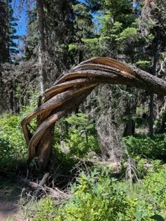 A Day Spent Visiting Two Medicine Lake