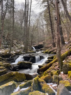 Top 10 Things to Do at Worlds End State Park