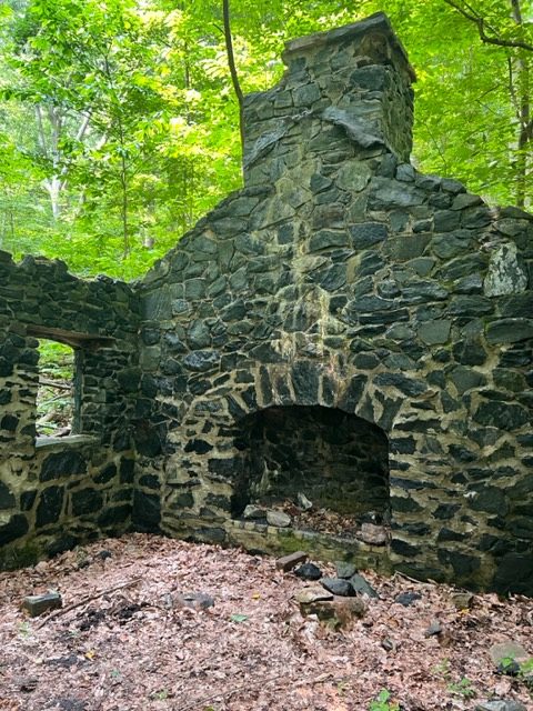 Hiking at Patapsco State Park